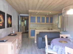 Résidence L'edelweiss - Joli appartement 3 pièces situé dans un environnement calme dans le centre de Méribel et proche des pistes de ski MAE-6571